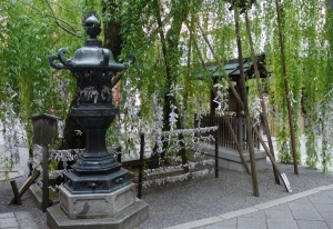 A hidden shrine near the centre of Kyoto